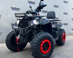 ATV TELSTAR TS-250 ARMOUR с лебедка и всички екстри Нов модел 2025 снимка 187