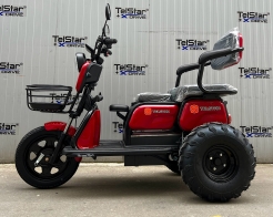 Триместна електрическа триколка OFFROAD ДЕЗЪРТ TS 350-7-NEW 2500W 25Ah снимка 210